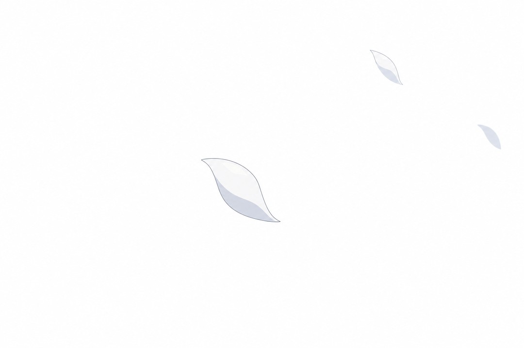 Two or three small white lily petals drifting across a plain, empty, overexposed white. Nothing else: no ground, no horizon, no figure.